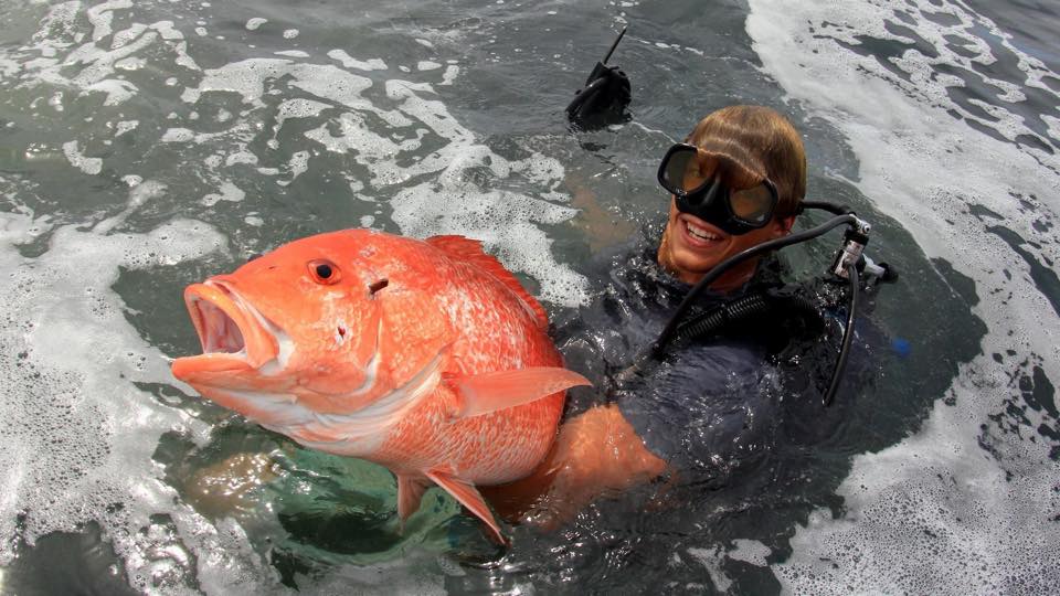 Prodip Fish June Council 2016 Meeting Preview | Gulf Council